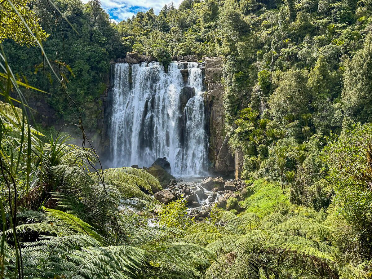 Waikato: Breiter Wasserfall im Regenwald