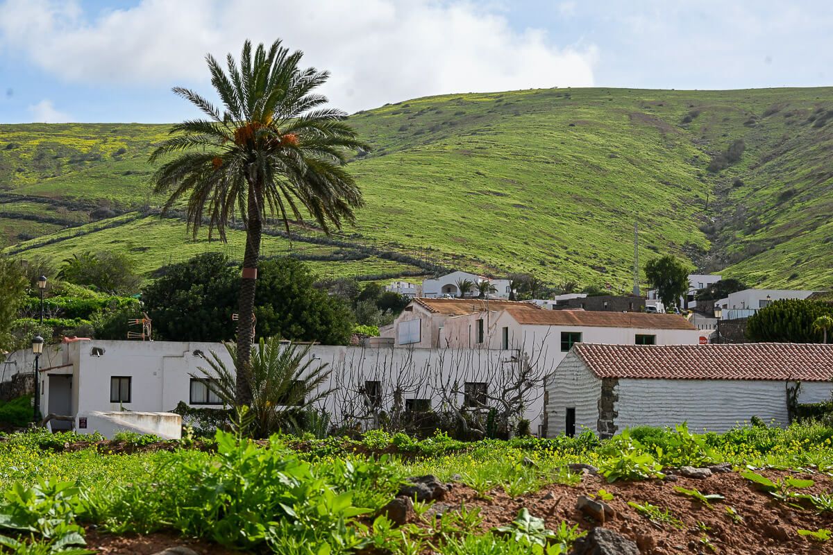 Umgebung von Betancuria: weiße Häuser vor grünen Hügeln 
