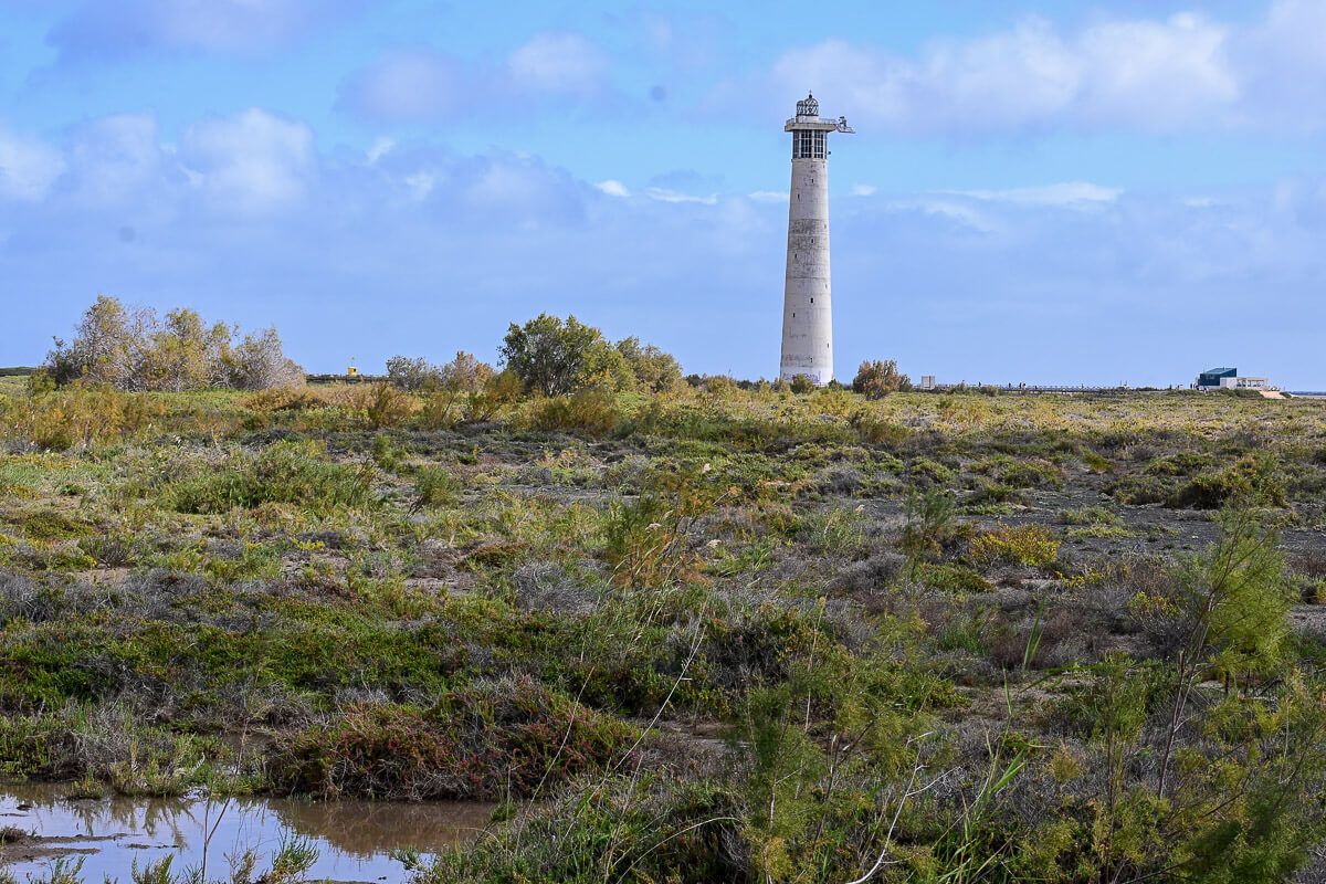 Leuchtturm vor Salzwiesen