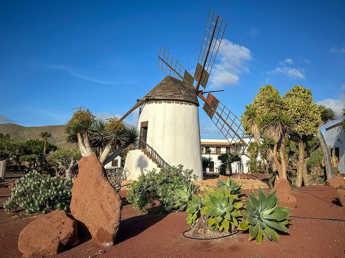 Garten mit kanarischer Vegetation und einer Windmühle