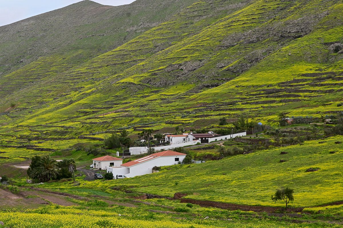 weiße Häuser an einem begrünten Berghang