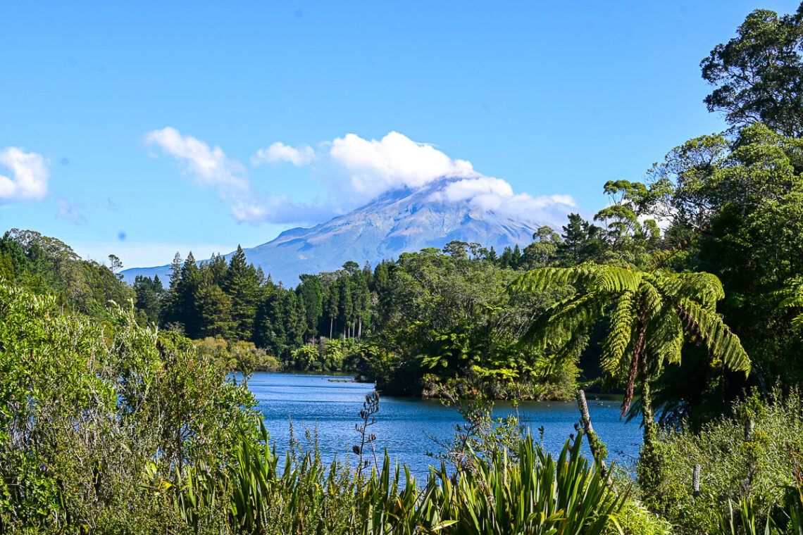 neuseeland new plymouth taranaki 5 1 |