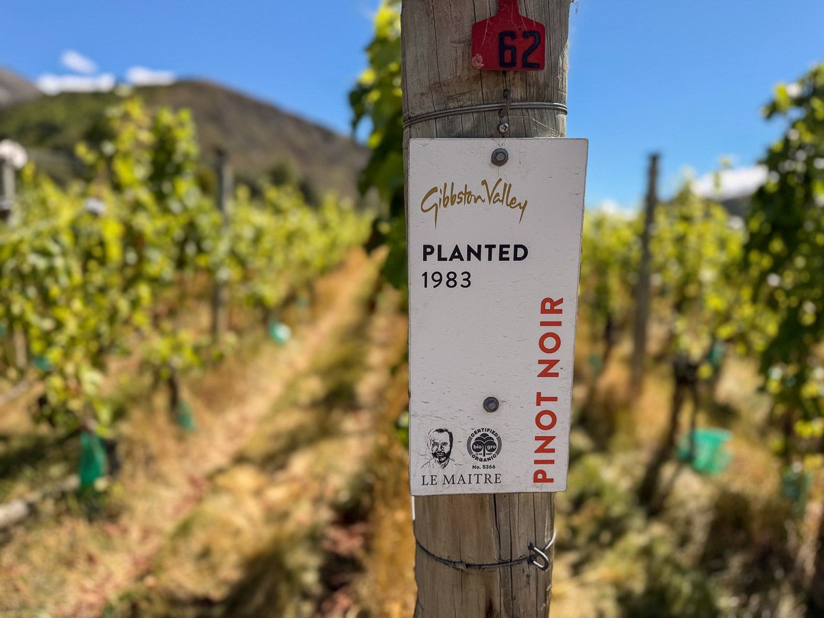 Weinfeld in Queenstown mit Schild, das auf den Anbau von Pinot Noir hinweist