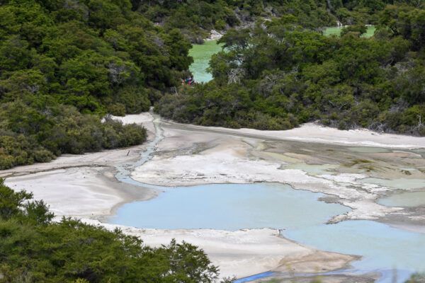 Blick auf zwei Pools, der eine hellblau, der andere grün