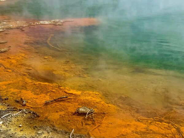 Champagne Pool in Wai-o-Tapu: Das Ufer des Pools erstrahlt  orange, das Wasser knallgrün