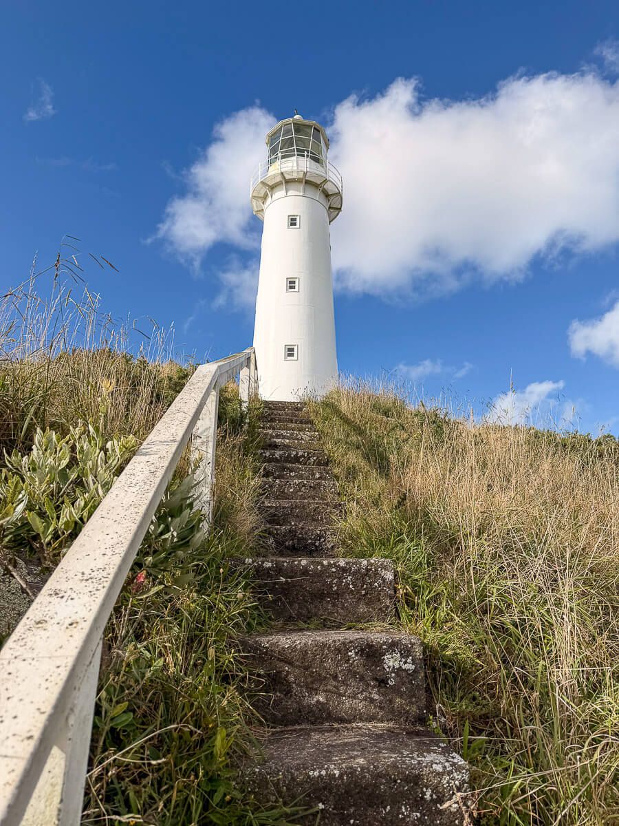 Neuseeland: Reisetipps für Mount Taranaki und New Plymouth 9 Reisetipps für Mount Taranaki: Treppe, die zum weißen Leuchtturm am Cape Egmont führt