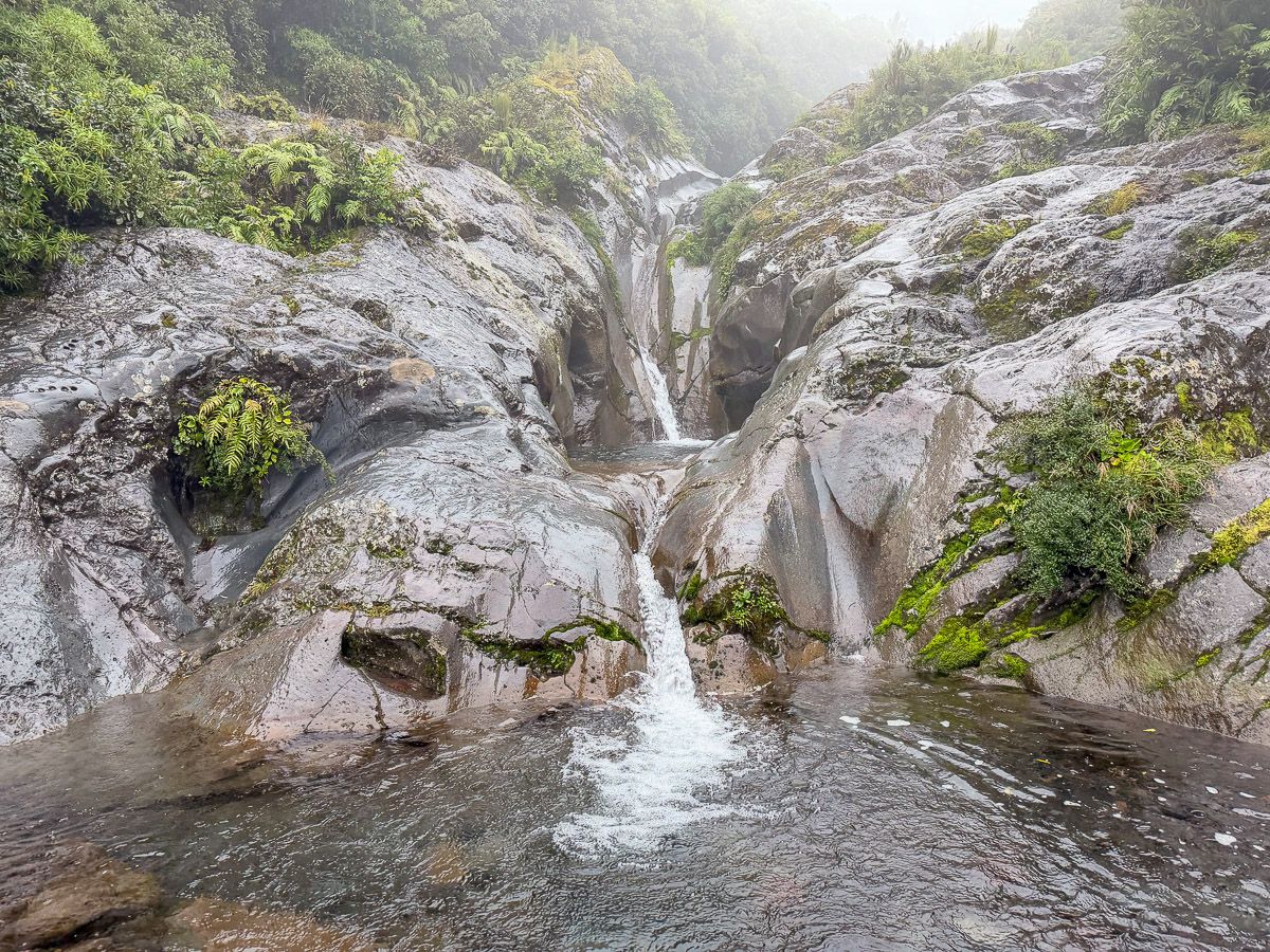 Vulkane, Küsten, coole Städte: Roadtrip Neuseeland Nordinsel 3 Wochen 43 Vulkanische Pools im Regenwald
