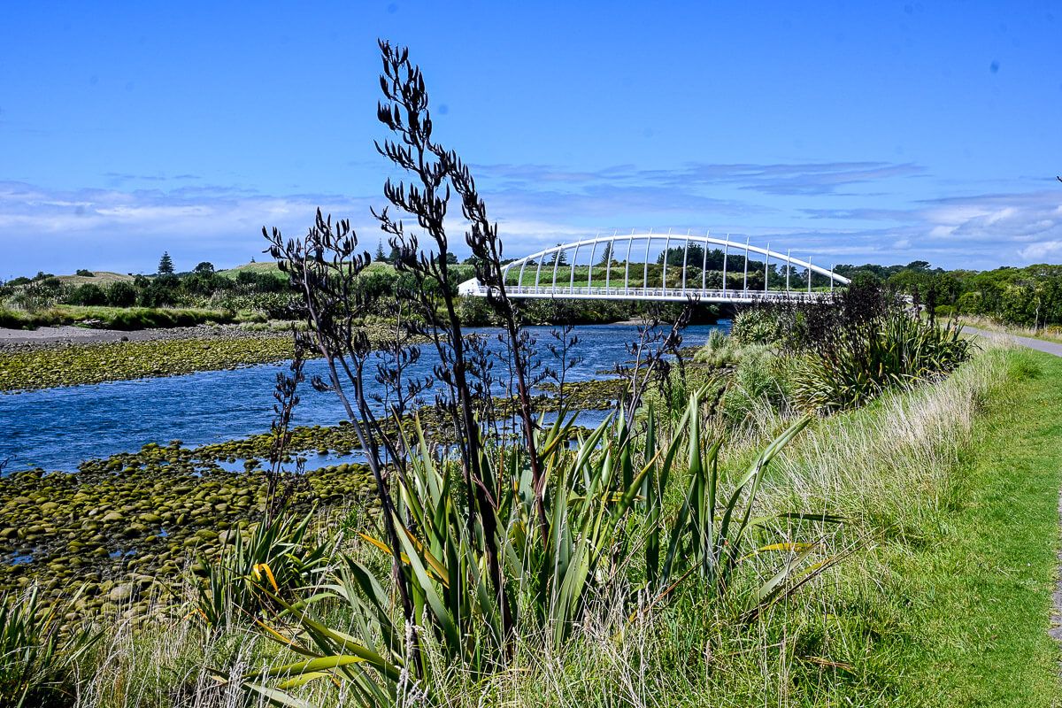 Neuseeland: Reisetipps für Mount Taranaki und New Plymouth 15 Blick vom Coastal Walk Way auf weiße Fußgängerbrücke