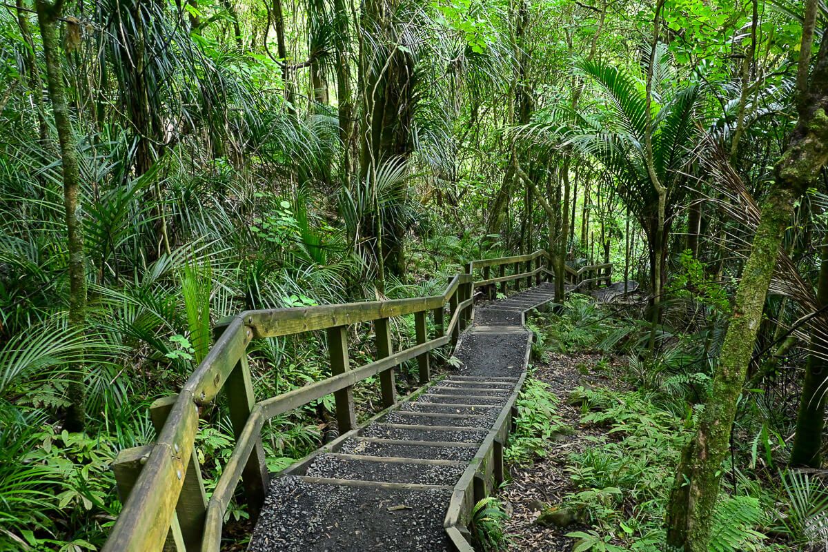 Treppe durch den Busch, die von einer Etage des Wasserfalls nur nächsten führt
