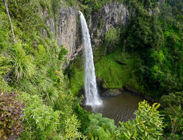 neuseeland waikato bridal veil falls 6 |