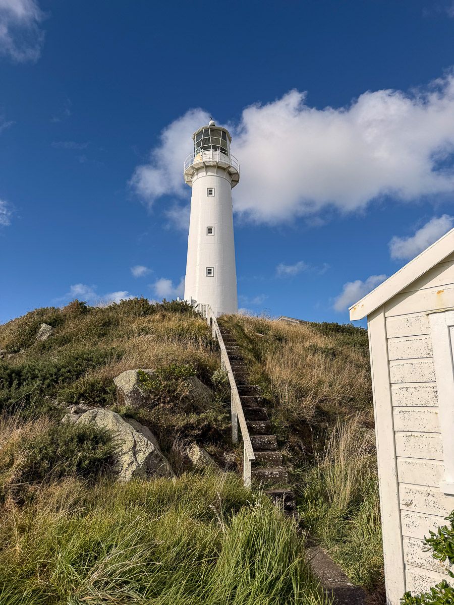 Neuseeland: Reisetipps für Mount Taranaki und New Plymouth 40 Treppe zum Leuchtturm