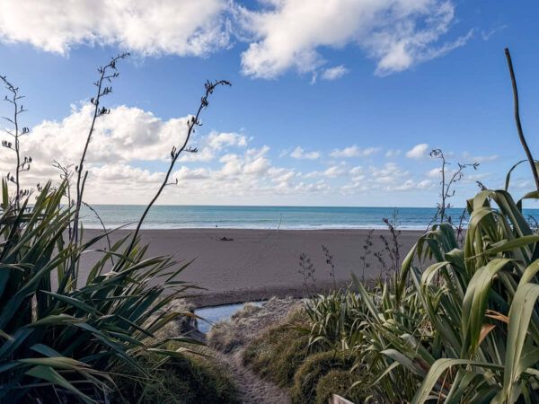 Neuseeland: Reisetipps für Mount Taranaki und New Plymouth 37 Schwarzer Strand, im Vordergrund Neuseeland-Flachs