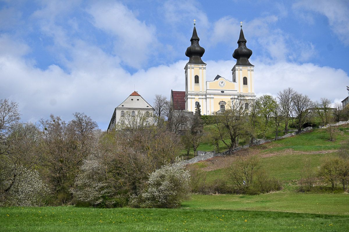 Blick auf Wallfahrtskirche am Hang