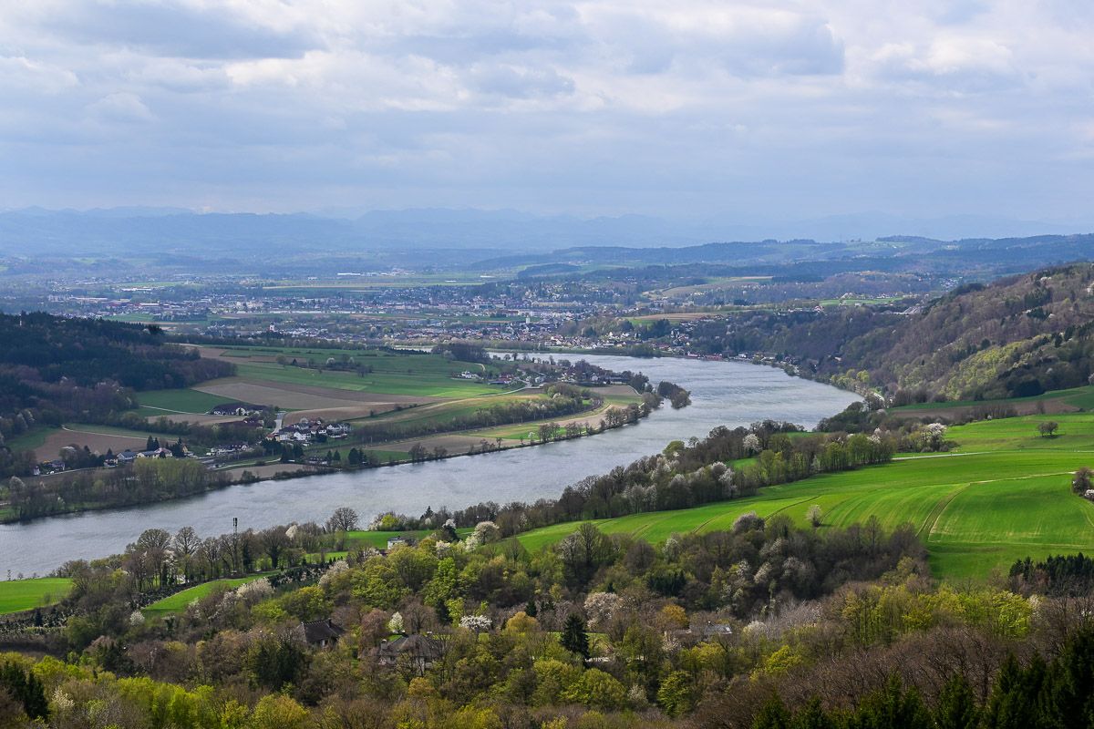 Blick auf die Donau