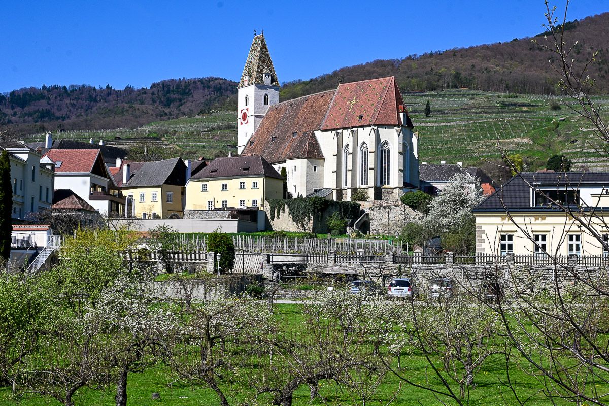 Donauradweg: Die Wehrkirche von Spitz liegt überhalb von Ort und Marillenhainen