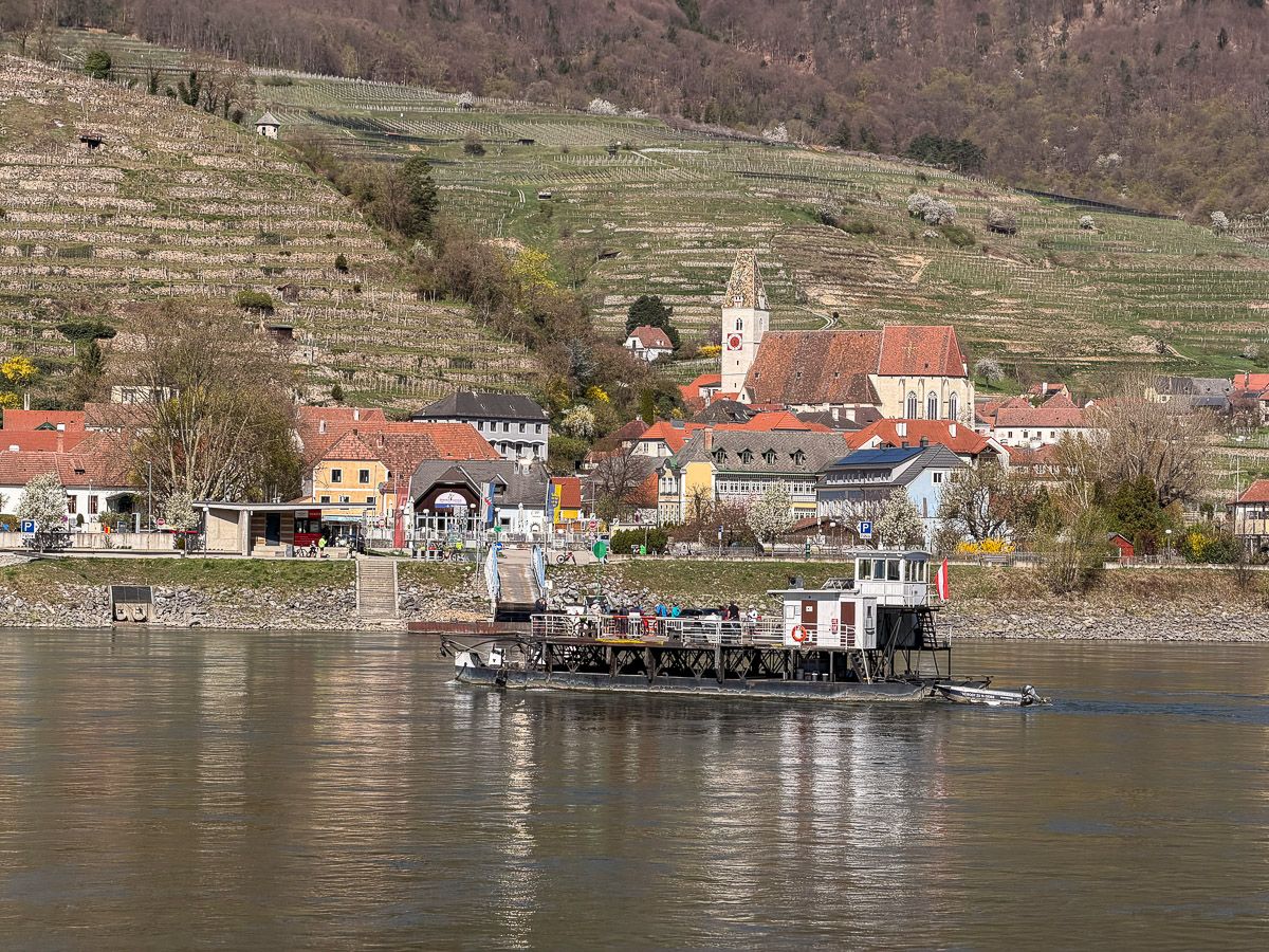 Rollfähre auf der Donau vor dem Dorf Spitz mit Kirche und Weinhängen