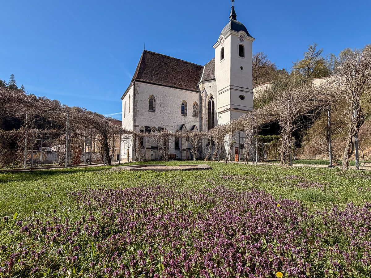 Außenansicht der Kartause mit Blumenwiese davor