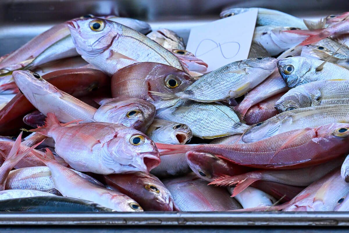 Fische an einem Stand auf dem Fischmarkt