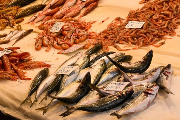 Stand mit Fischen und Seafood