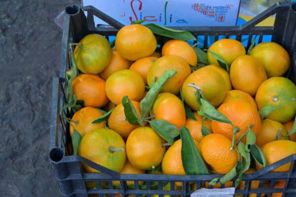 Reisetipps für Catania: Korb mit Orangen
