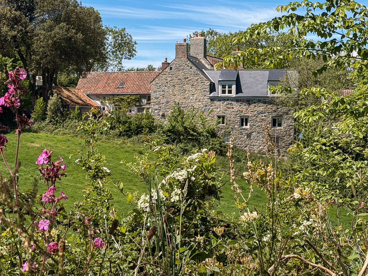 Natursteinhaus mit Wiesen und Blumen im Vordergrund 