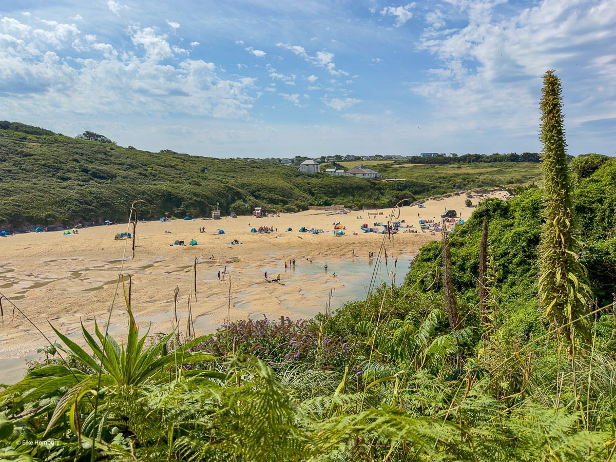 Gannel River bei Ebbe mit Badenden und exotischen Pflanzen im Vordergrund