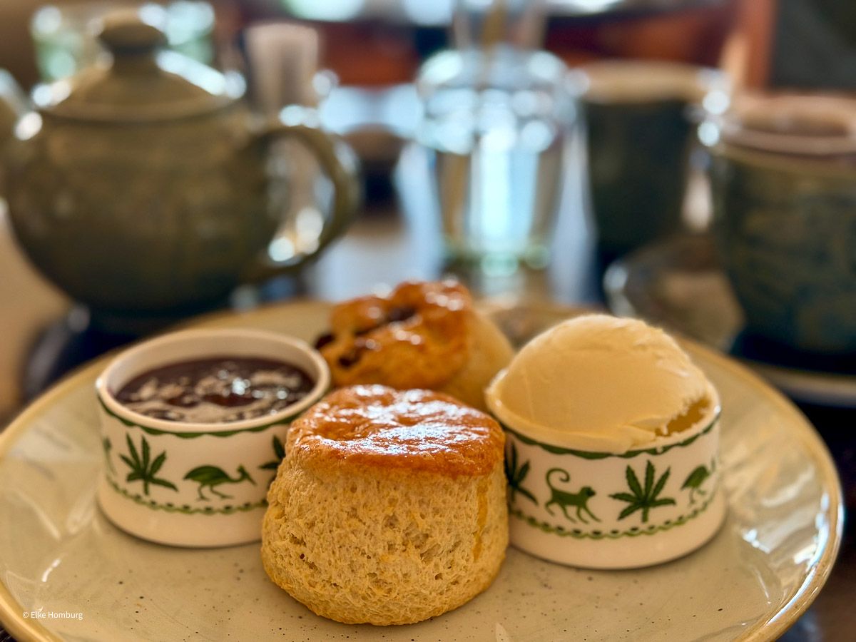 Cream Tea: Gebäck mit Clotted Cream und Konfitüre