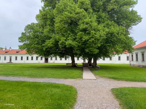 Hof mit Klostergebäuden