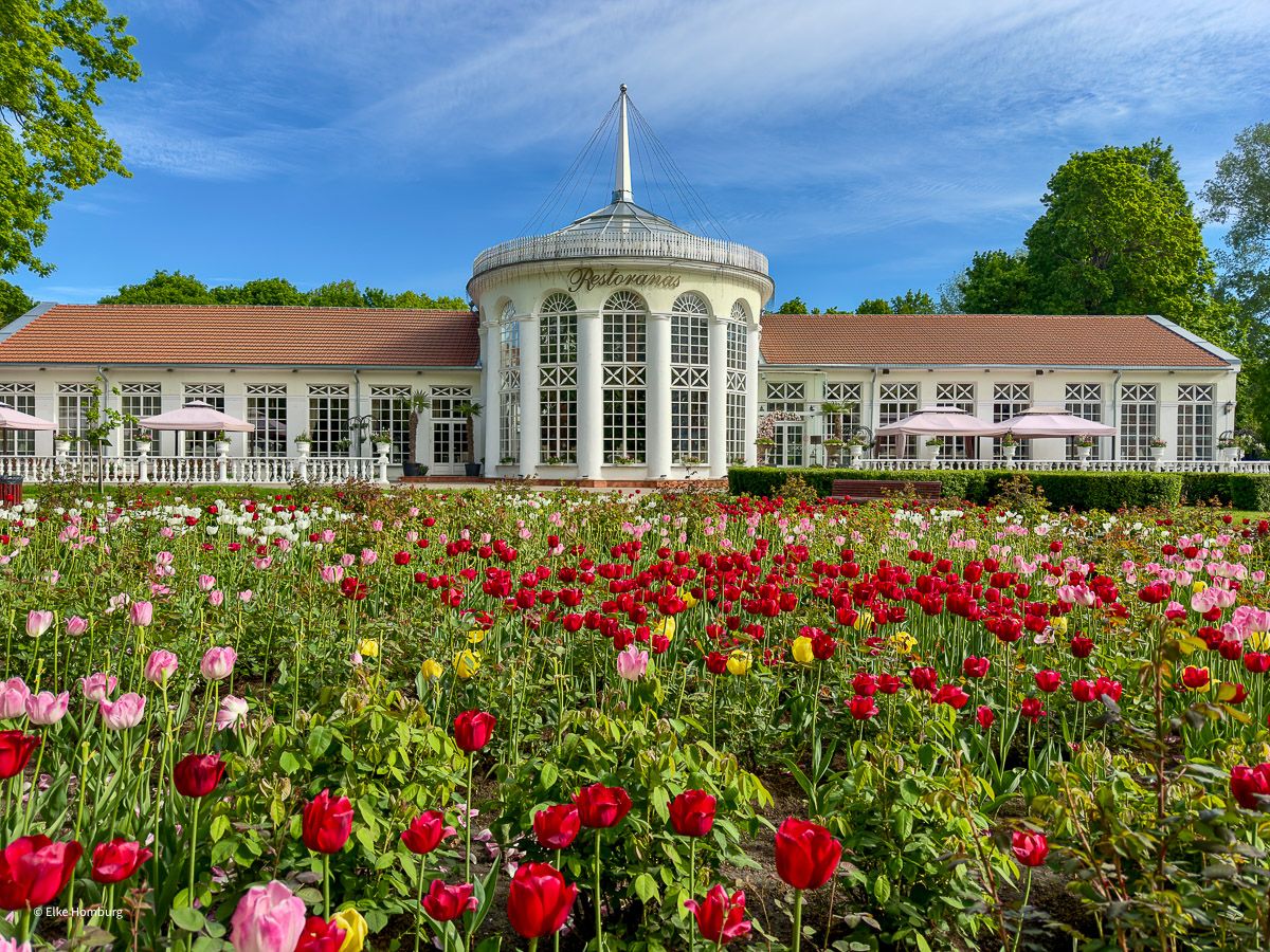 Orangerie eines Herrenhauses mit Tulpenfeld davor