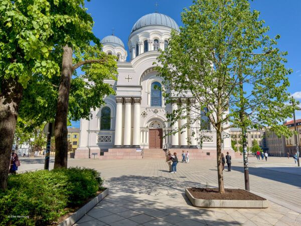 Sehenswürdigkeiten in Kaunas: eine orthodoxe Kirche ganz in Weiß auf einem Platz mit Bäumen