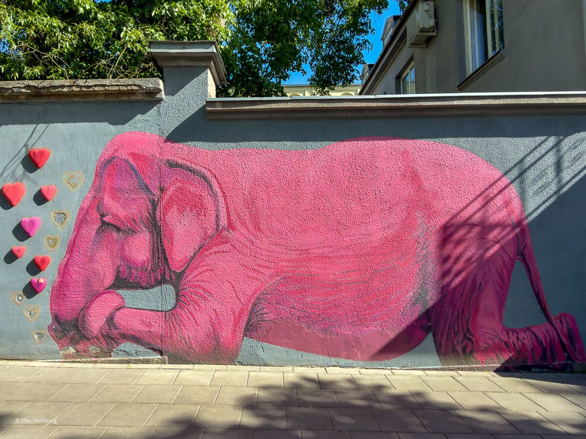 Wandbild, das einen rosa Elefanten zeigt