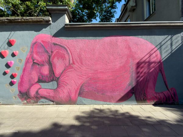 Sehenswürdigkeiten in Kaunas: Mural mit einem rosa Elefanten