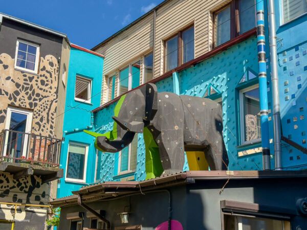 Installation mit Elefant în einem Hof