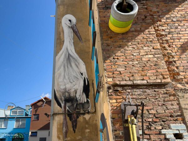 Wandbild, das einen Storch zeigt