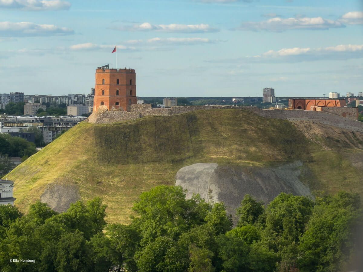 Blick auf den Gediminas-Turm