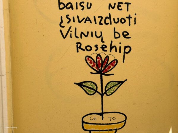 Schild: "Vilnius be Rosehip"
