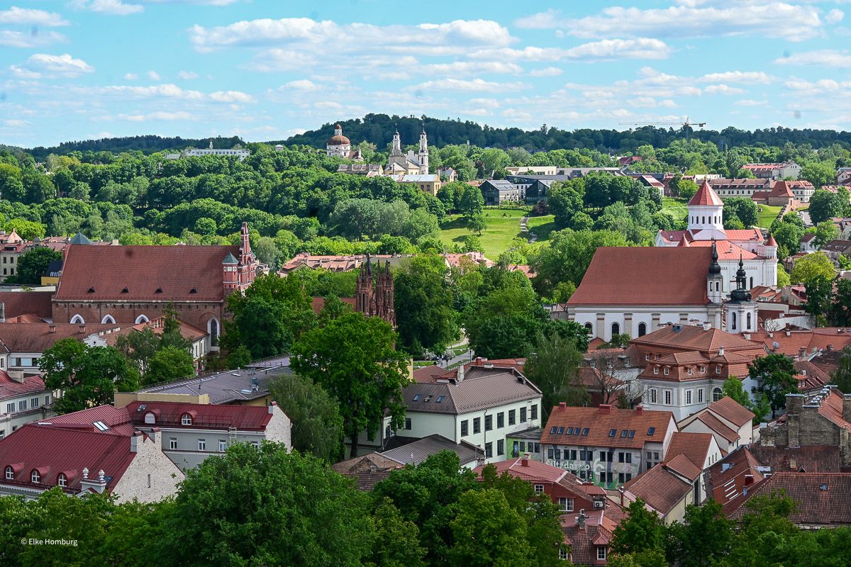 Blick auf die Altstadt von Vilnius mit vielen Kirchen
