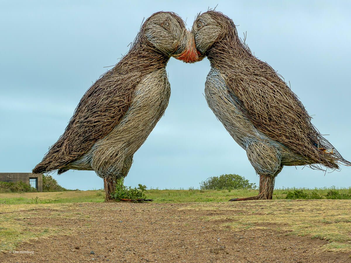 Überlebensgroße Skulptur mit zwei Puffins, die sich küssen