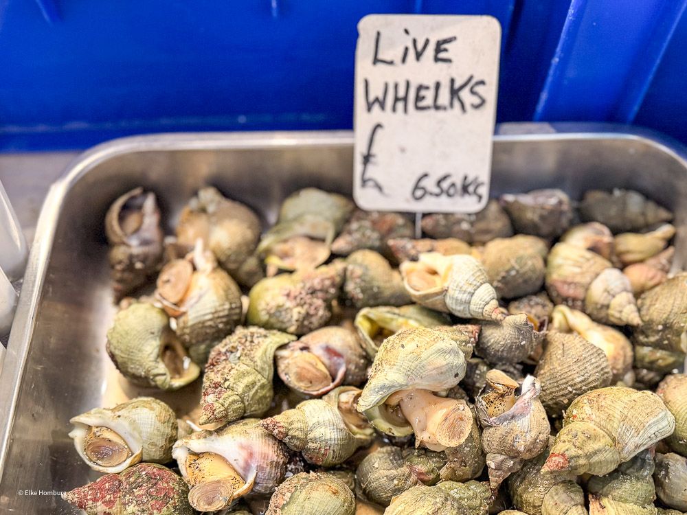 Schnecken beim Fischhändler