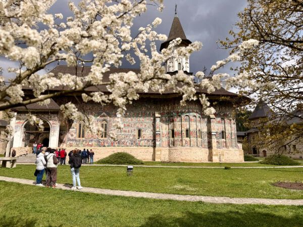 Faszinierende Bilderbibeln: Klöster in der Bukowina 2 Klöster in der Bukowina: Kloster Suceava mit einem Kirschblütenzweig im Vordergrund