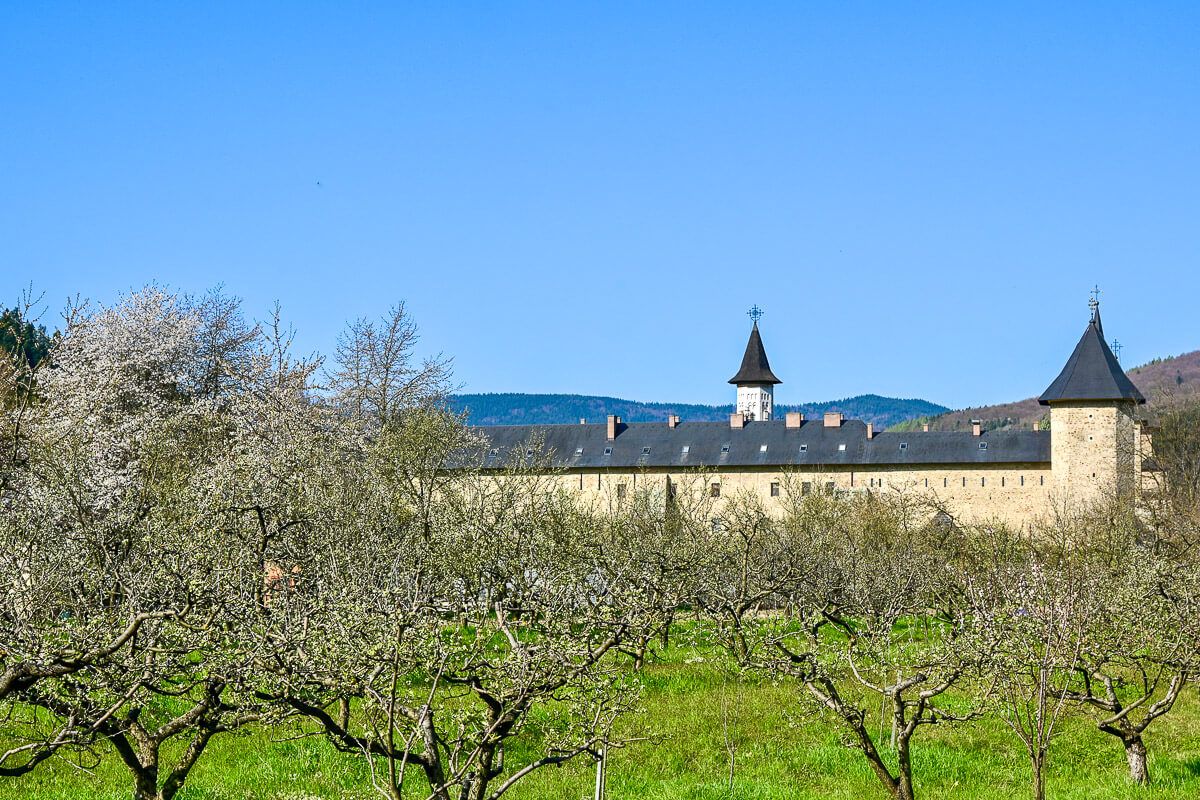Faszinierende Bilderbibeln: Klöster in der Bukowina 24 Kloster Sucevita, umgeben von Mauern und Wehrtürmen. Davor eine großer Kirschgarten