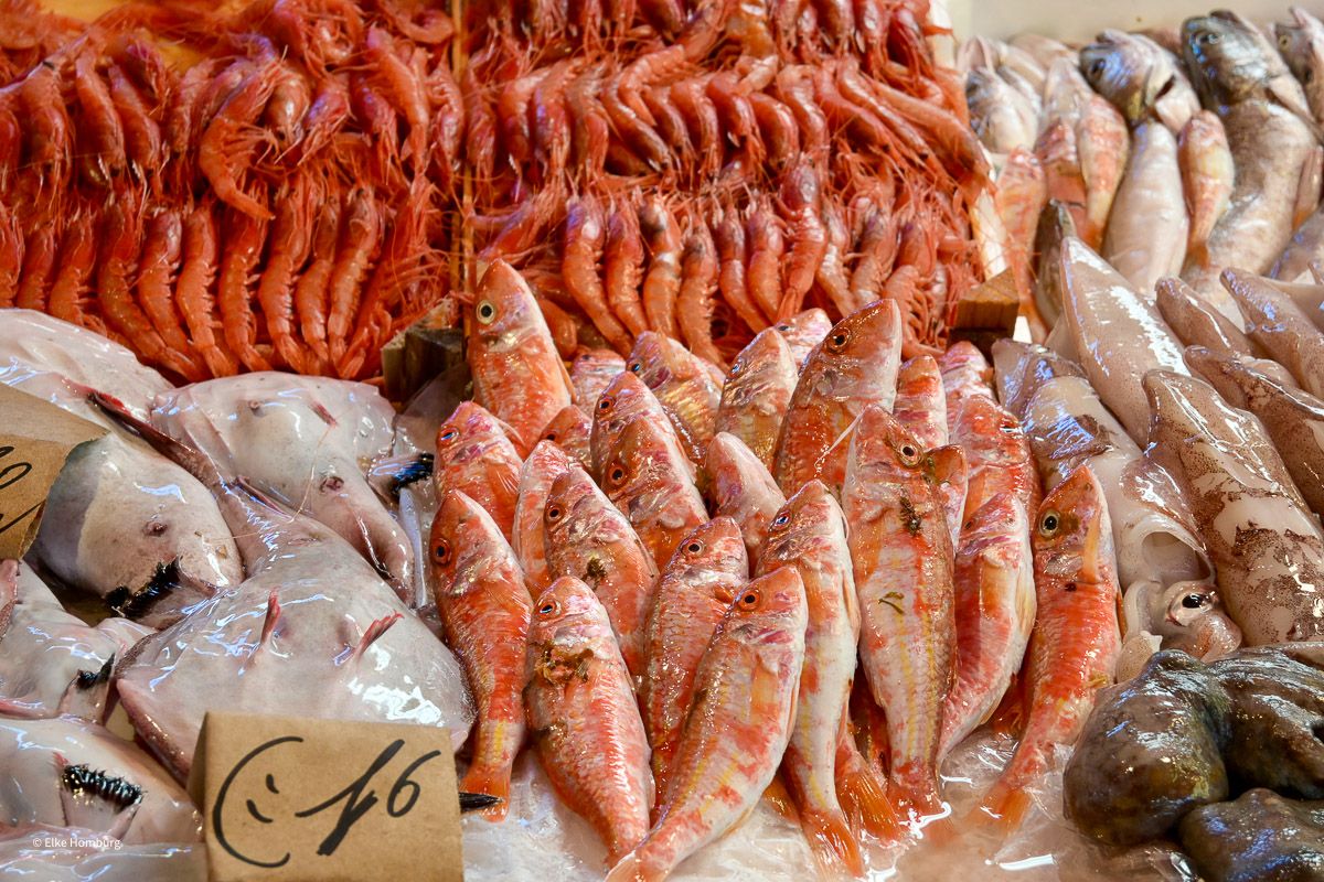 Auslage mit Garnelen und kleinen rötlichen Fischen