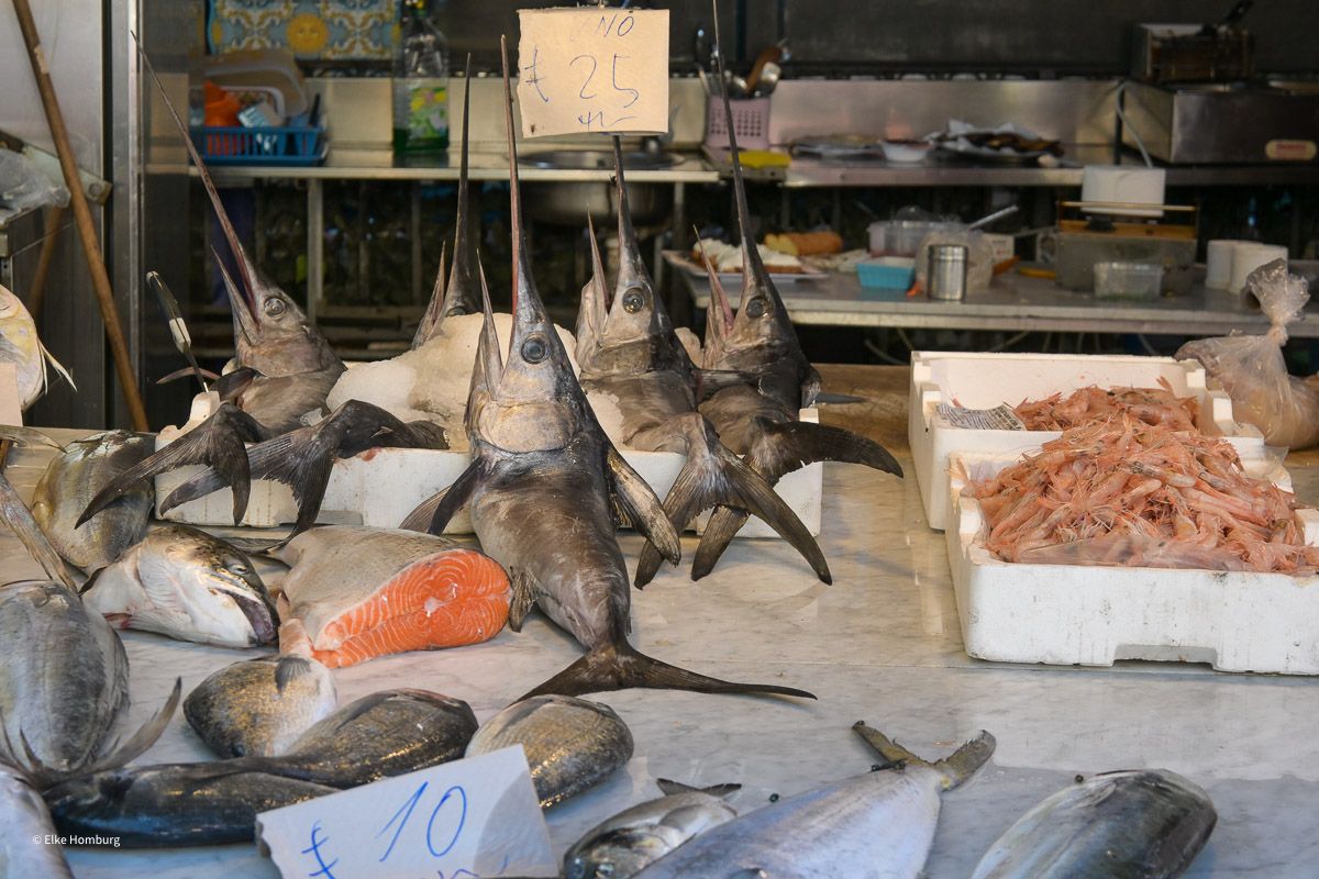 Stand mit Schwertfischen 