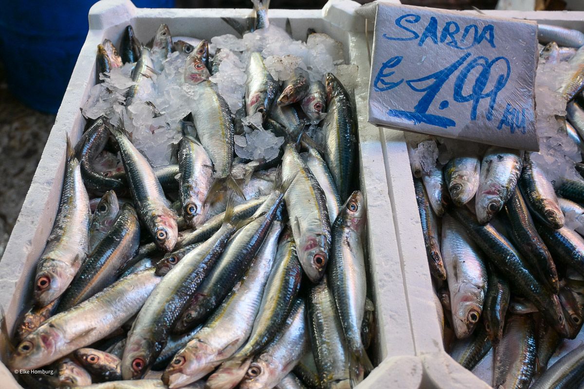 Kiste mit silbrigen Fischen 