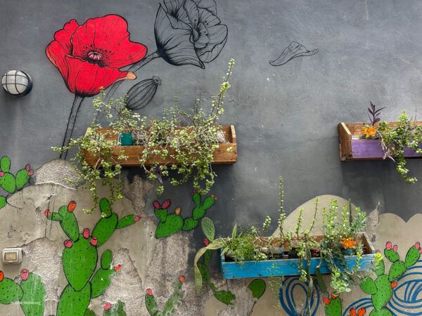 Wand mit Graffiti und Blumenkästen