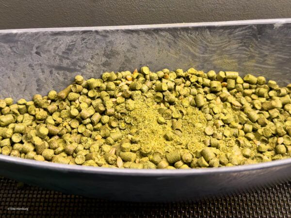 Viel mehr als eine Bierstadt: ein Wochenende in Pilsen 45 Hopfen-Pellets in einer Schale