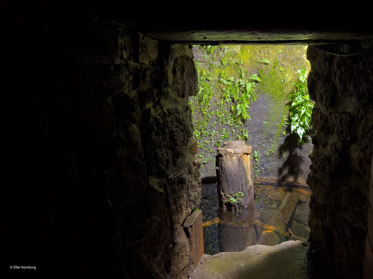 Viel mehr als eine Bierstadt: ein Wochenende in Pilsen 56 Mit Grün bewachsener Brunnen in der Pilsner Unterwelt