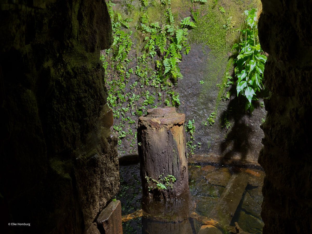 Viel mehr als eine Bierstadt: ein Wochenende in Pilsen 53 Mit Grün bewachsener Brunnen in der Pilsner Unterwelt