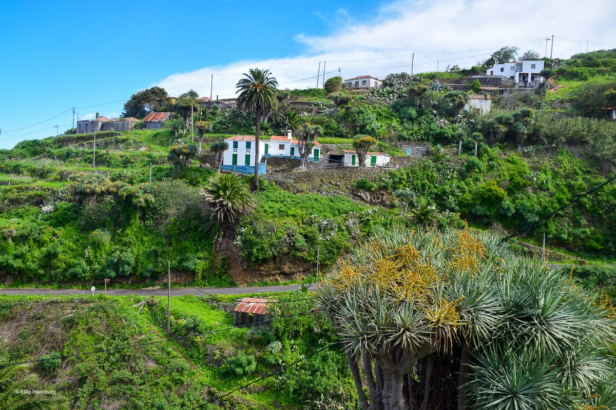 la palma barlovento 718 von 1 |