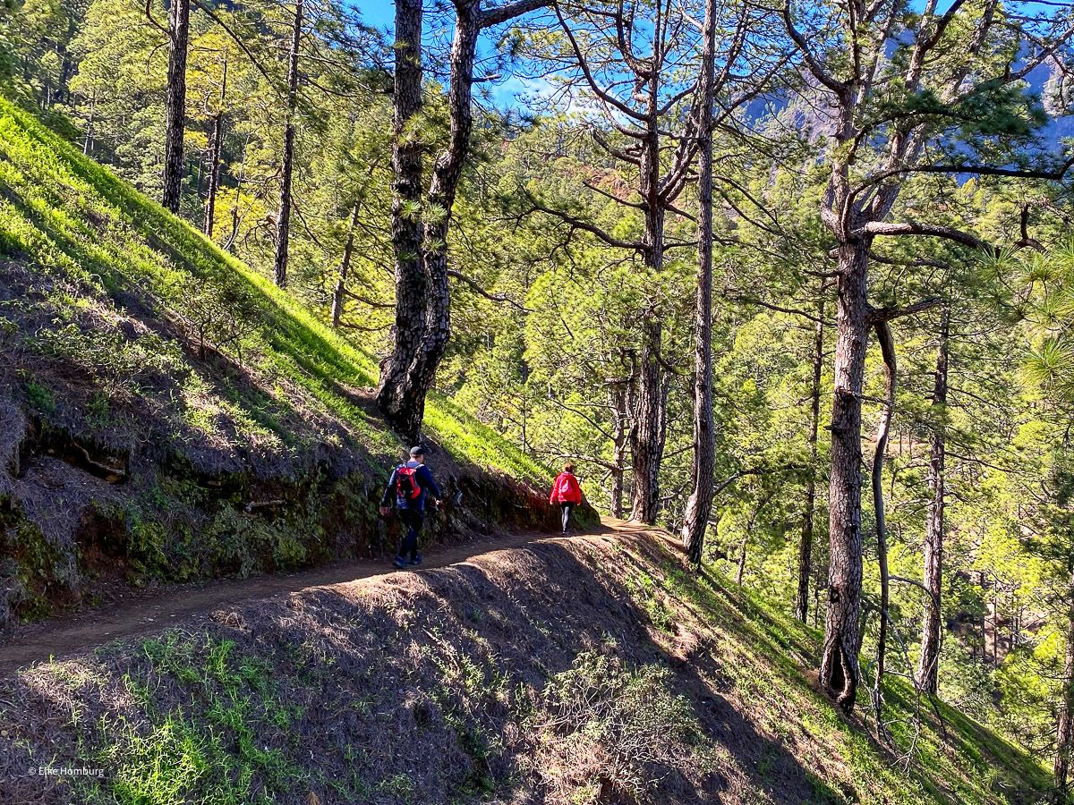Roadtrips auf La Palma: Wandern in der Caldera de Taburiente